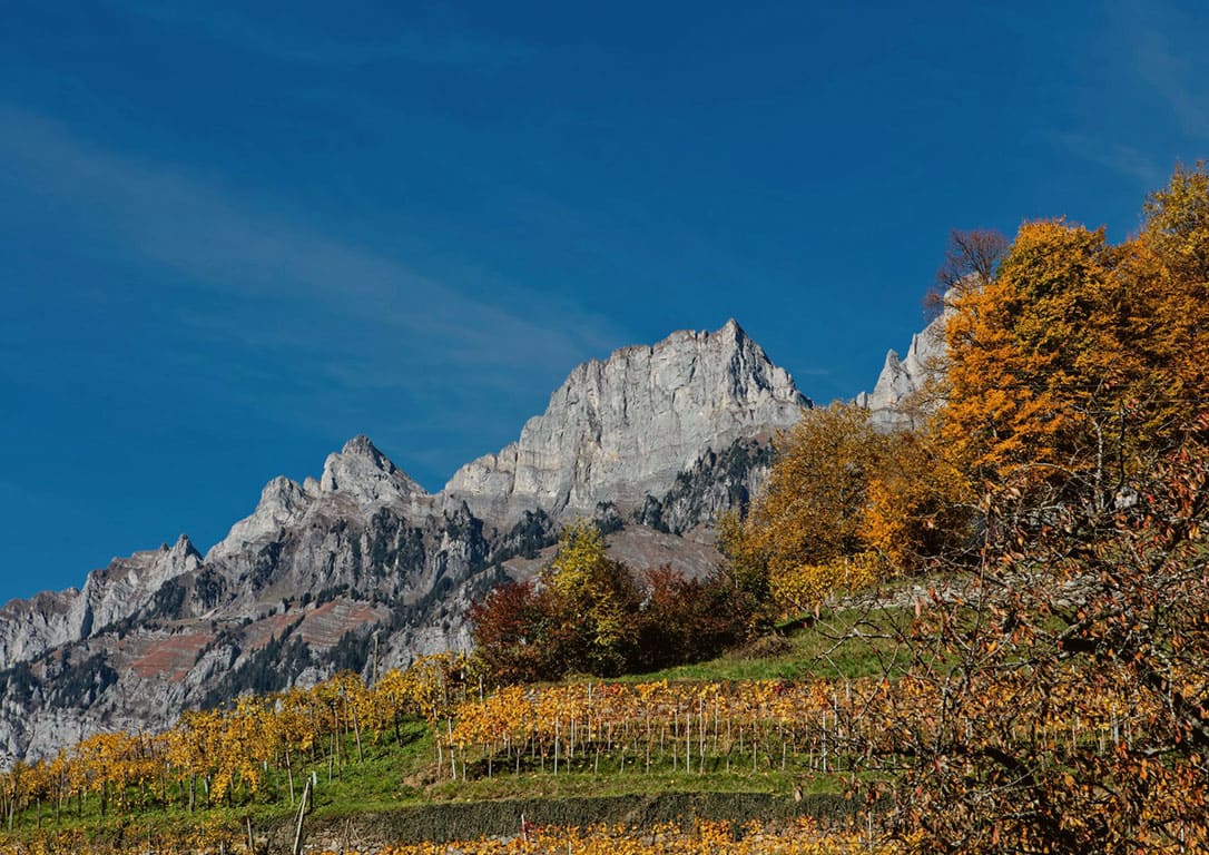 2025.09.12 - Weinreise Südamerika in Braunschweig 19.00 Uhr