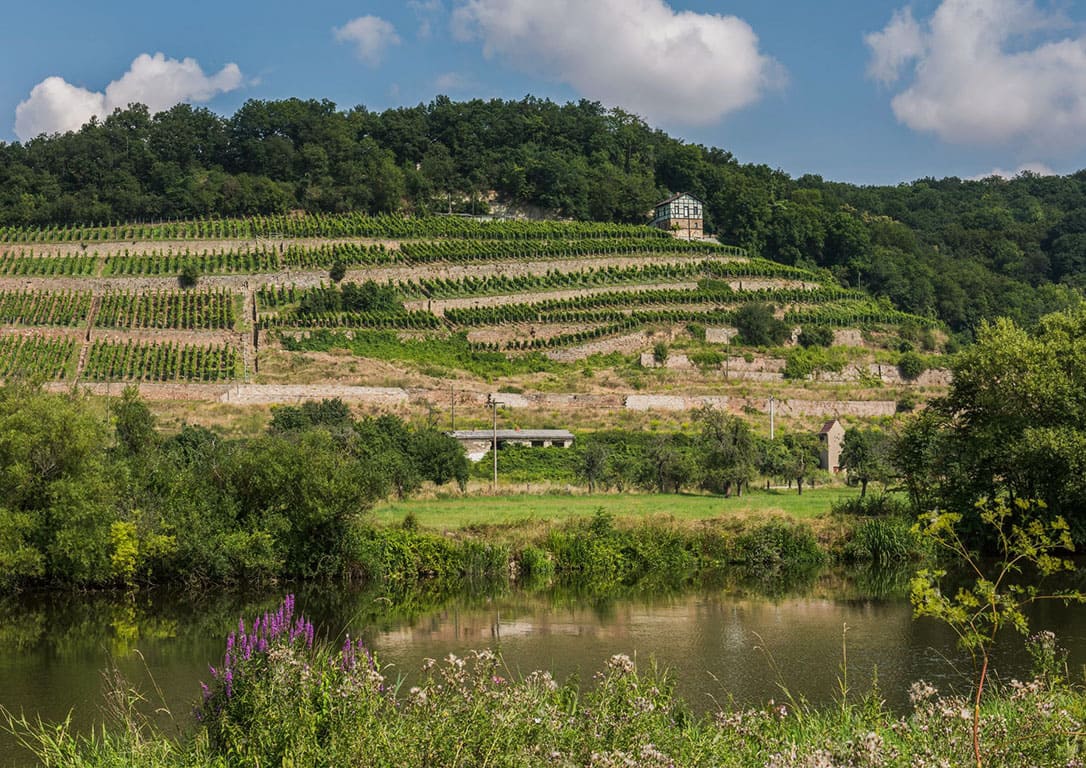 2026-10-15 | Weinprobe "Saale-Reise" | Braunschweig 19 Uhr
