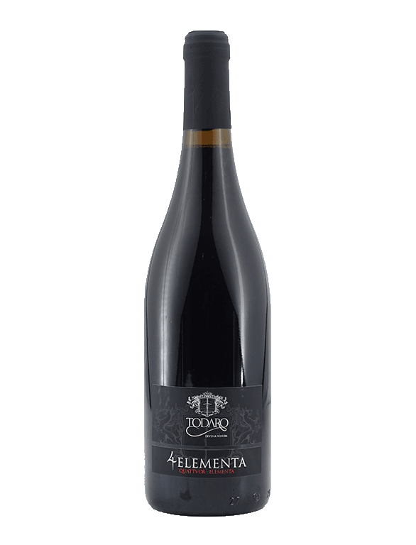 Todaro 4 ELEMENTA 2024