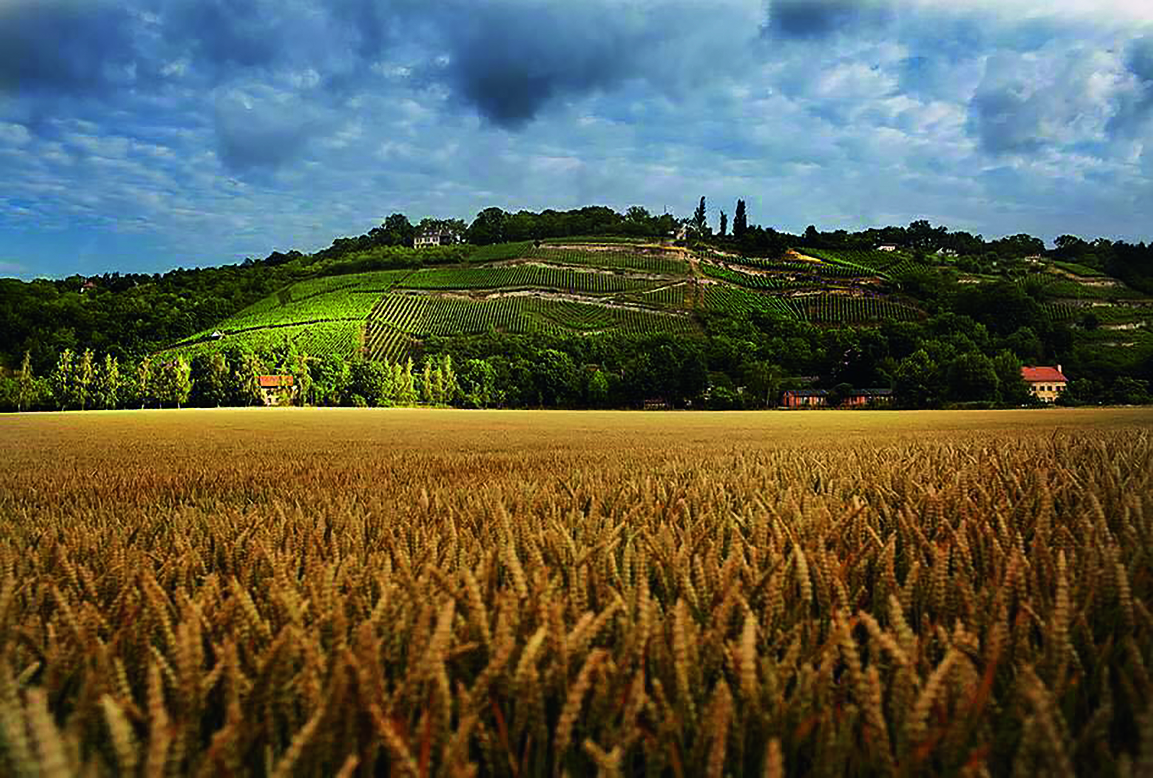 Weingut Hey