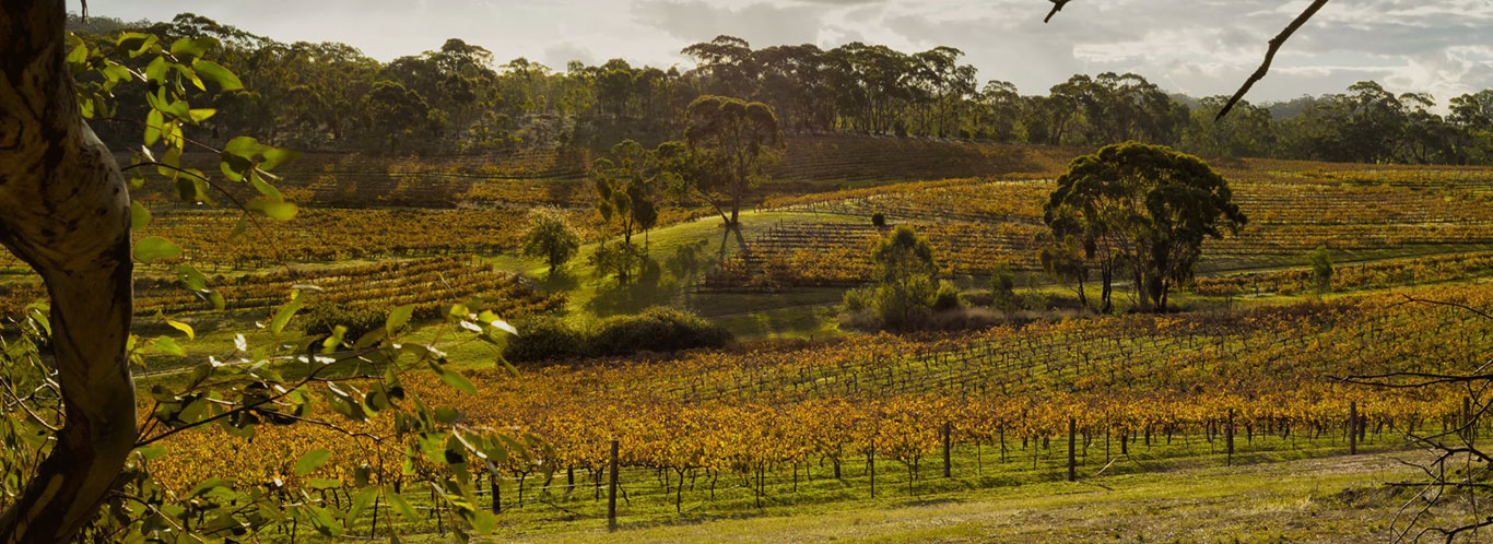 Wein aus Australien