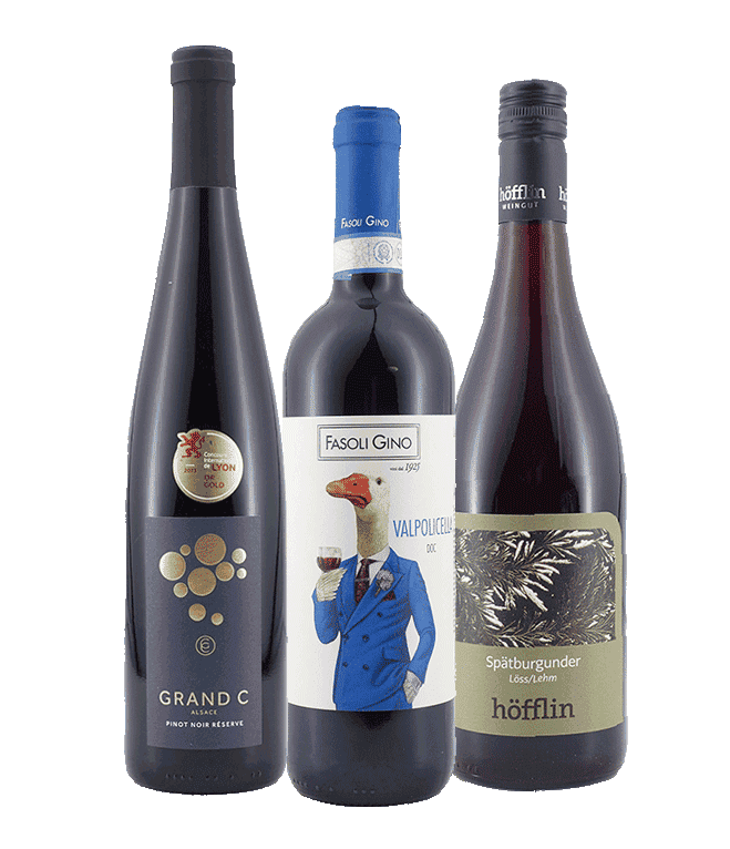 Weinpaket im Valpolicella-Stil