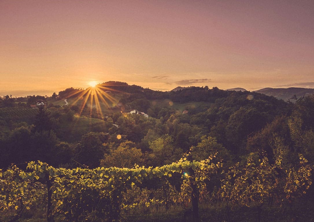 2025.11.14 - Weinreise Frankreich & Spanien in Braunschweig 19.00 Uhr