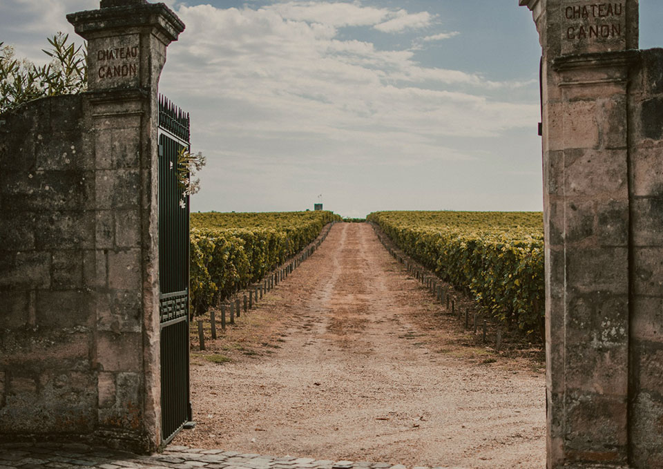 weinprobe-frankreich-braunschweig