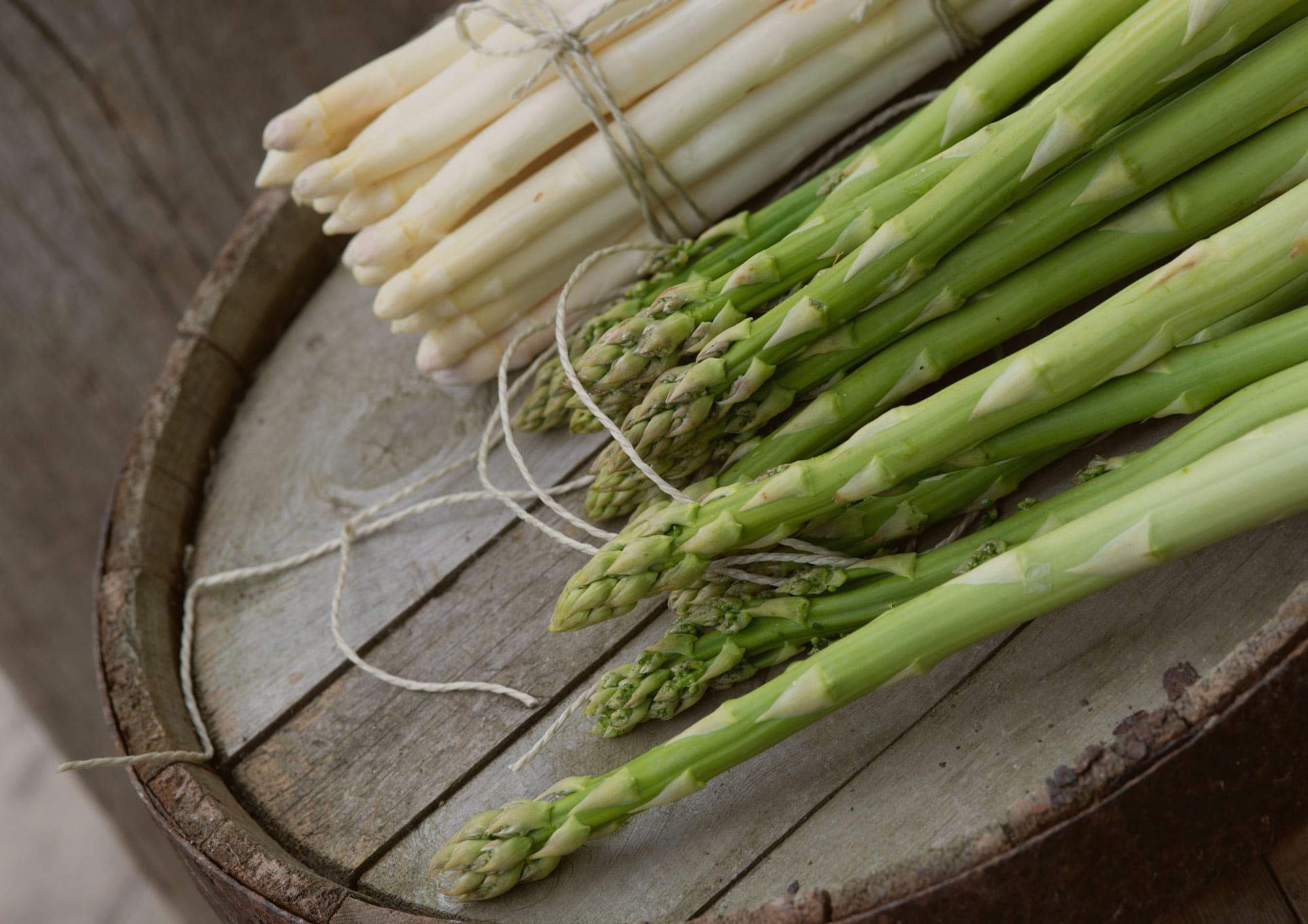 2026-04-24 | Spargel & Weinprobe | Hildesheim 19 Uhr