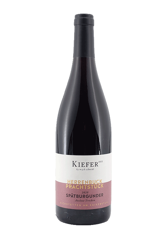Kiefer Spätburgunder Auslese trocken - Prachtstück