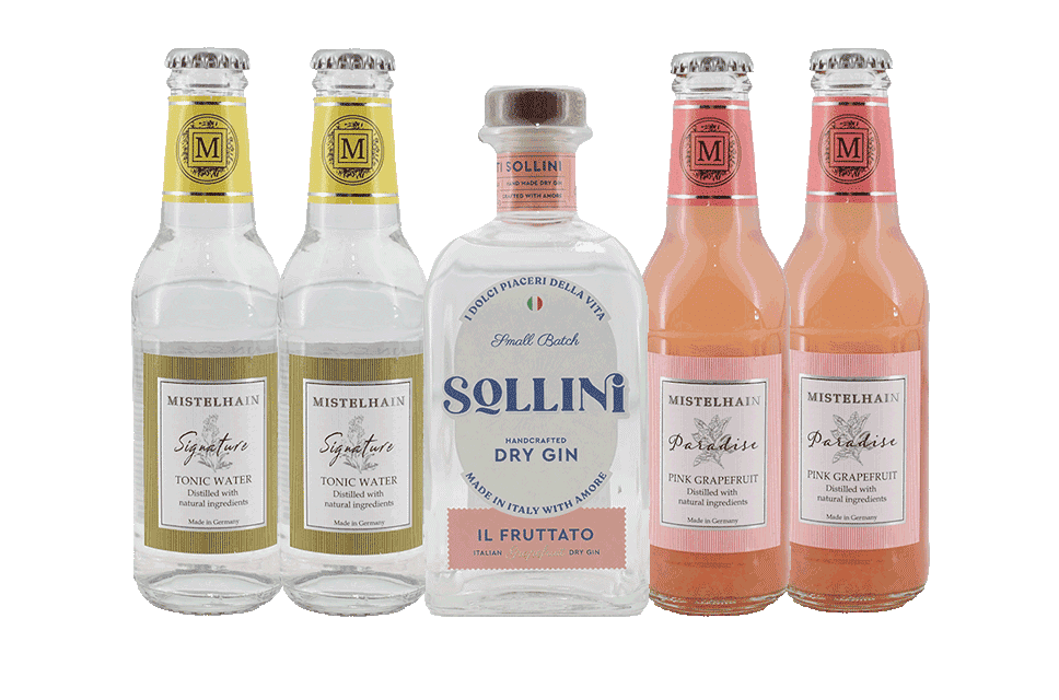 SOLLINI Il Fruttato Gin 0,5 l & Tonic Paket