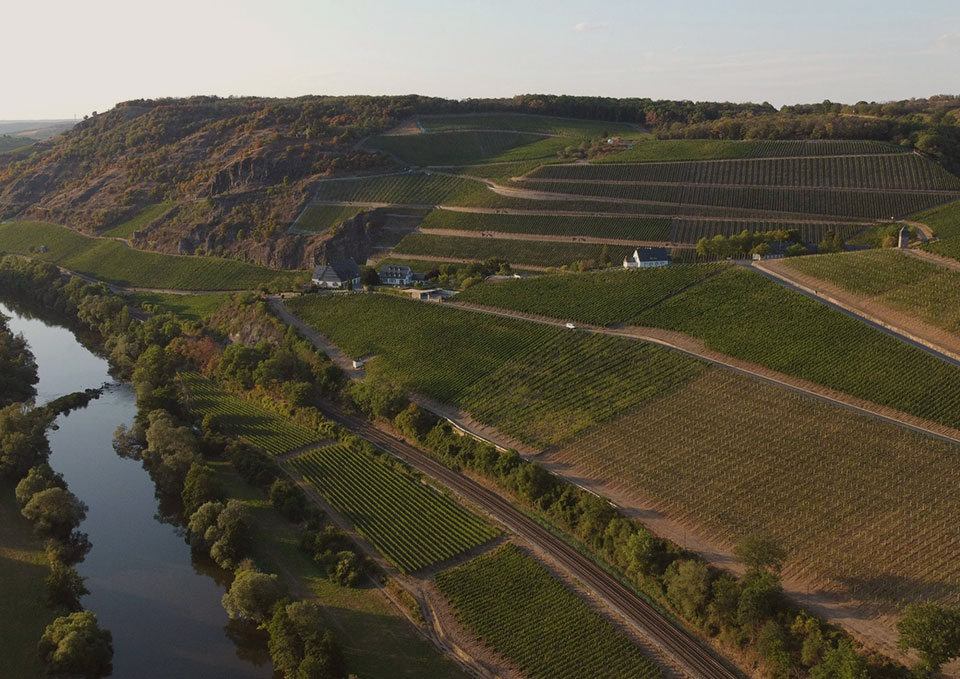 weinprobe-große-lagen-und-erste-gewächse-braunschweig