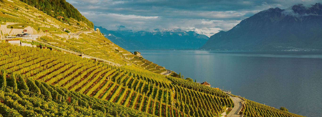 Wein aus der Schweiz