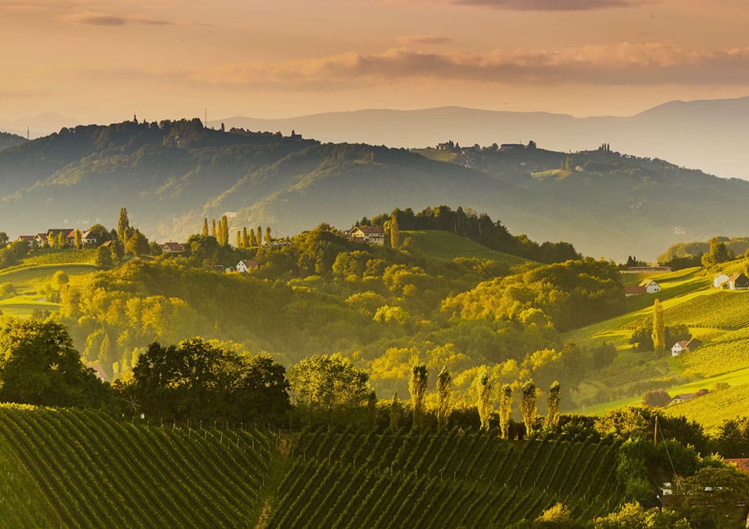 2026-02-06 | Try & Buy - Das Weinduell: Konventionell vs. Bio | Braunschweig 19 Uhr