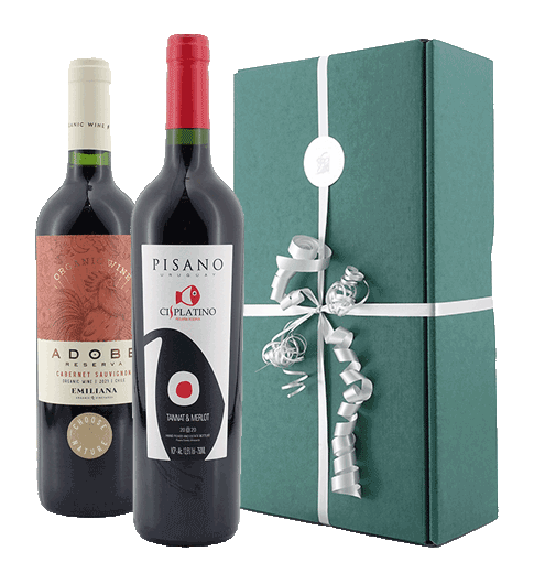 Weinpräsent Südamerika Rotwein Duo