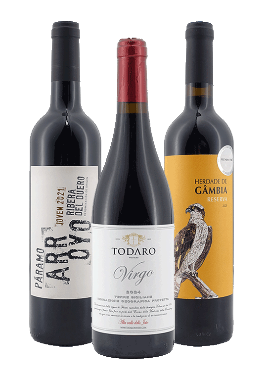 Weinpaket zum Grillen