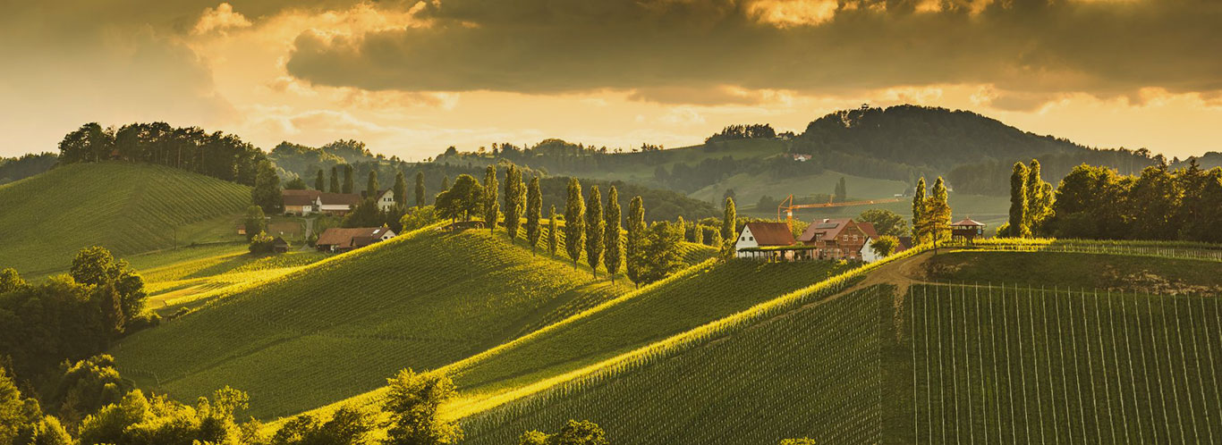 Wein aus Österreich