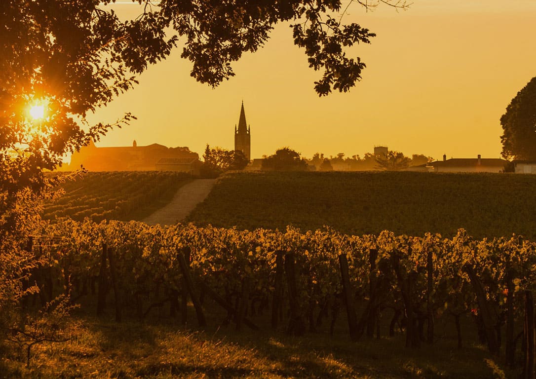 2026-02-26 | Grand Tasting - Bordeaux | Braunschweig 19 Uhr