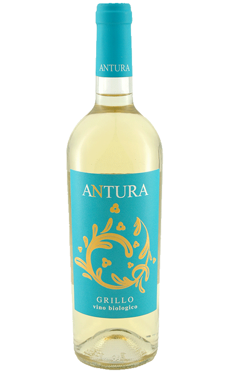 antura-grillo