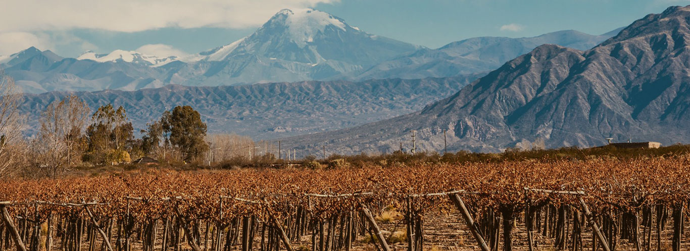 Wein aus Argentinien